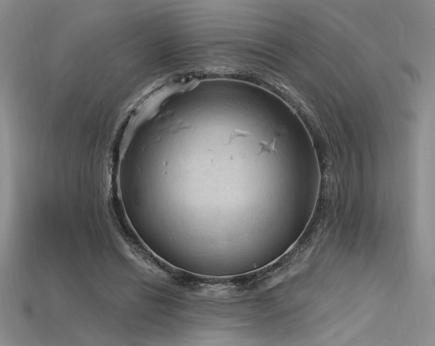 X0000115790446200911131311