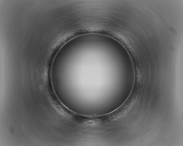 X0000115790447200911131311