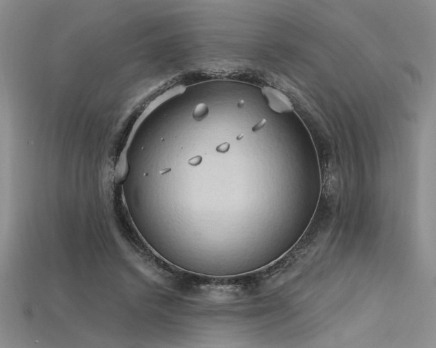 X0000115790448200911131311