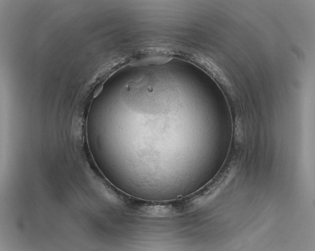 X0000115790449200911131311