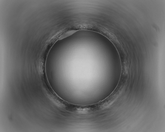 X0000115790450200911131311