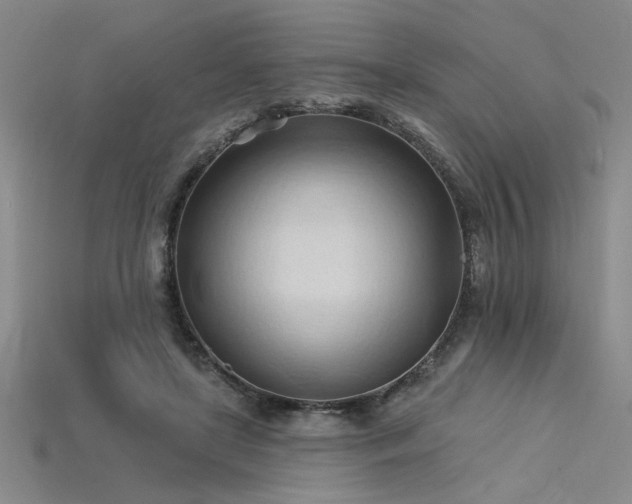 X0000115790451200911131311