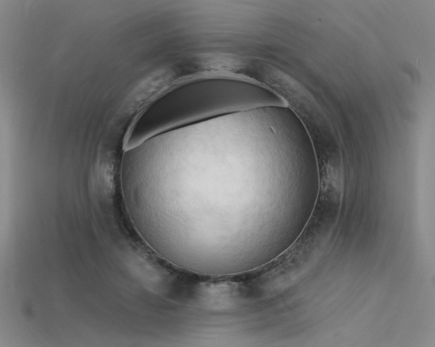 X0000115790452200911131311