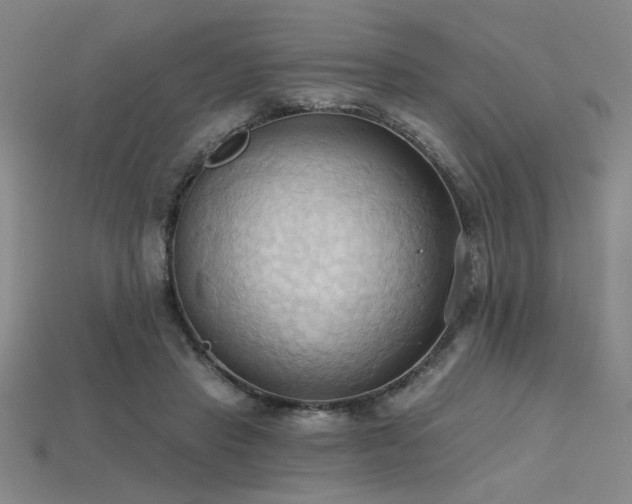 X0000115790453200911131311