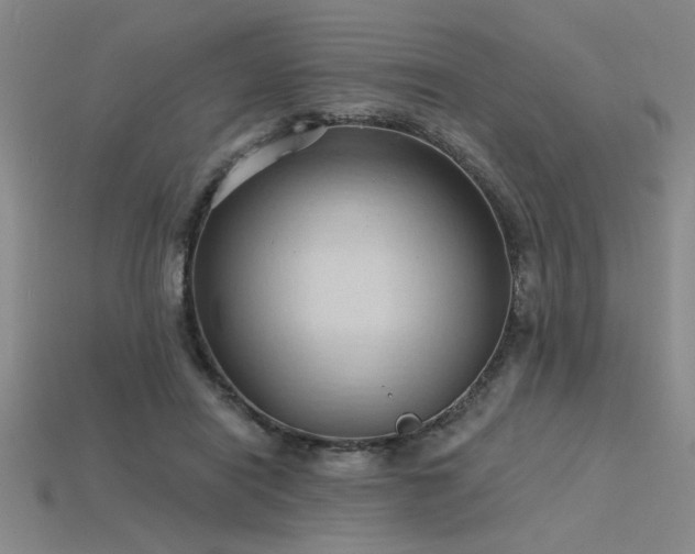 X0000115790454200911131311