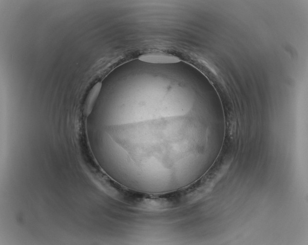 X0000115790455200911131311