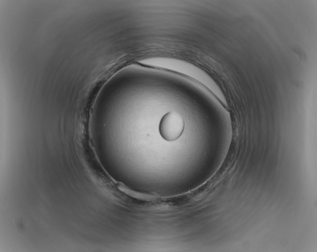 X0000115790456200911131312