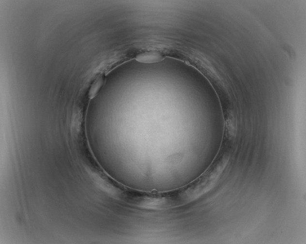 X0000115790458200911131312