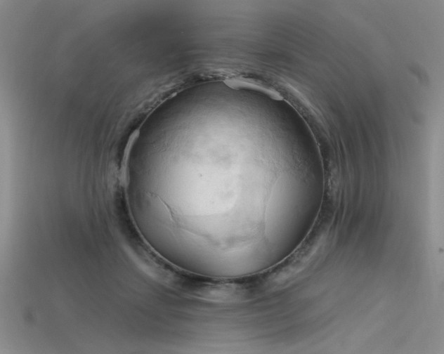 X0000115790459200911131312