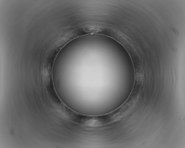 X0000115790460200911131312