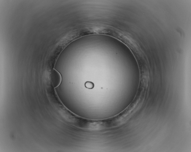 X0000115790461200911131312