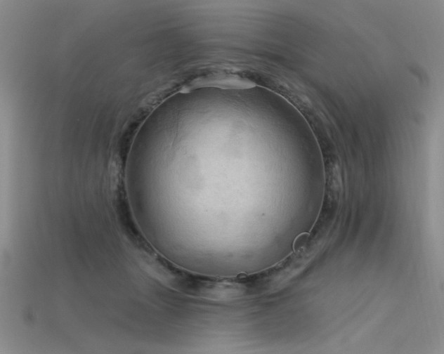 X0000115790463200911131312