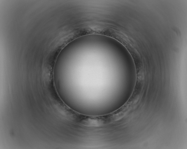 X0000115790464200911131312