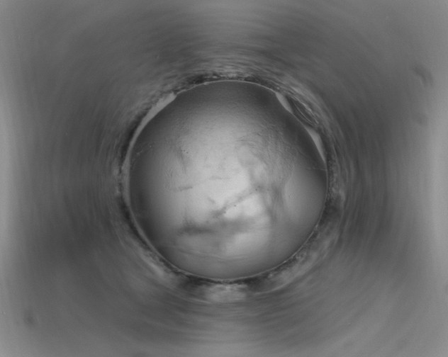 X0000115790465200911131312