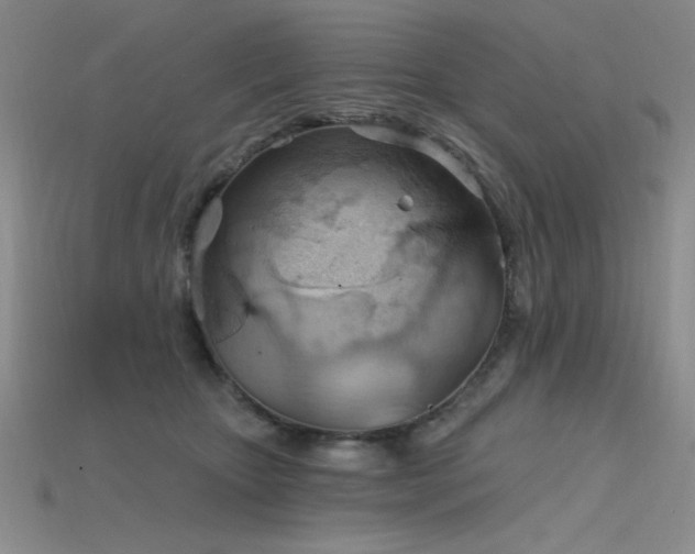 X0000115790467200911131312