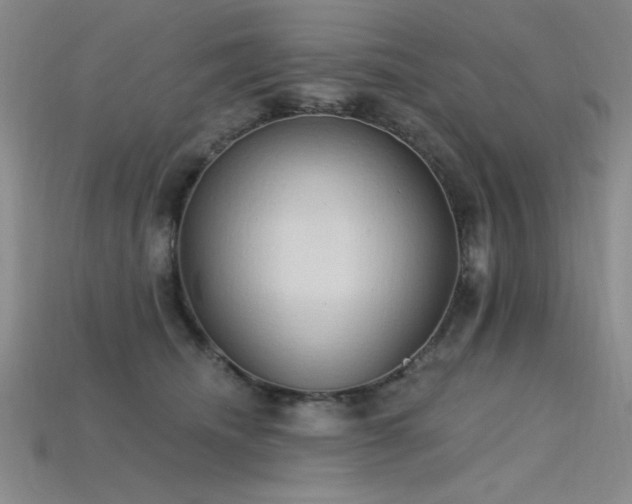 X0000115790468200911131312