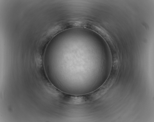 X0000115790469200911131312