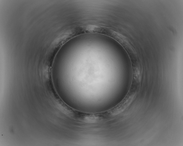 X0000115790470200911131312