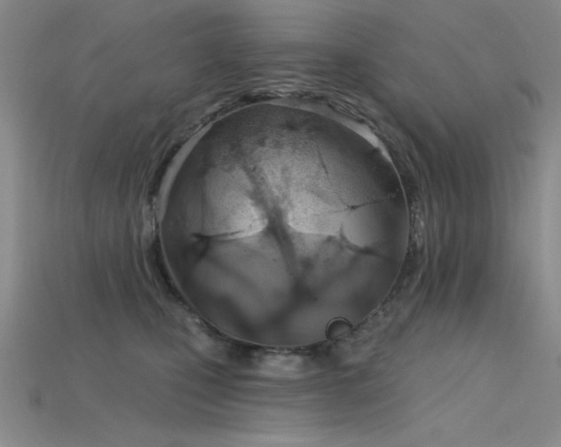 X0000115790471200911131312