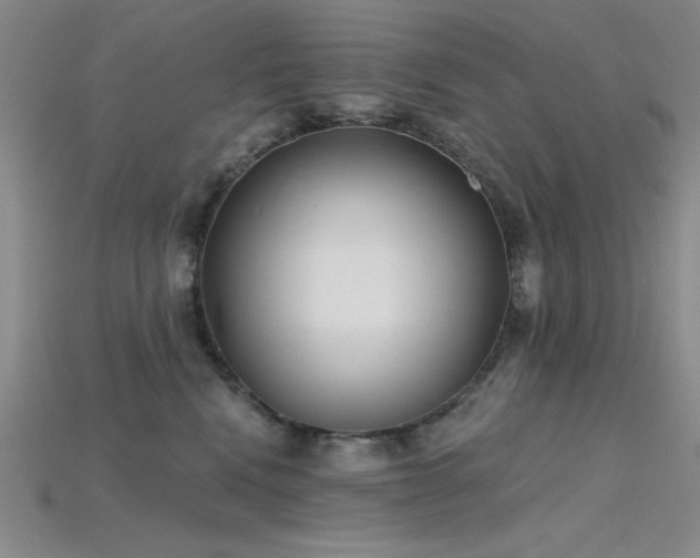 X0000115790472200911131312