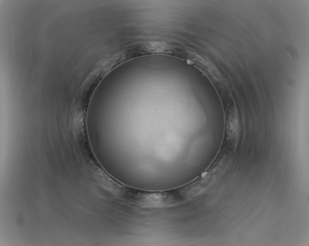 X0000115790473200911131312