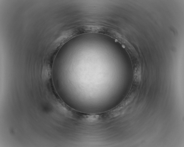 X0000115790474200911131312