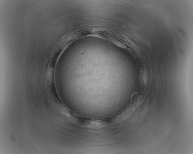 X0000115790475200911131312