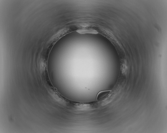 X0000115790476200911131312