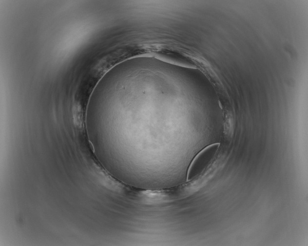 X0000115790477200911131312