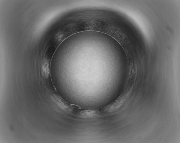 X0000115790479200911131312