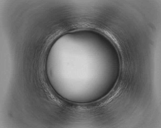 X0000115790481200911131311