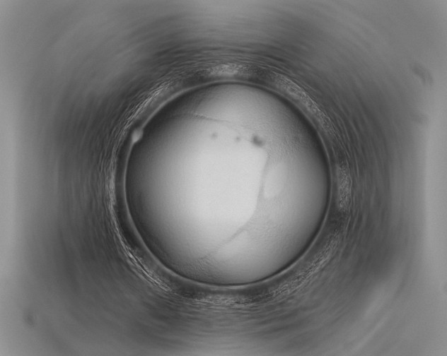 X0000115790482200911131311