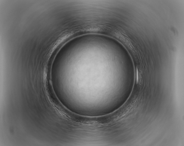 X0000115790483200911131311