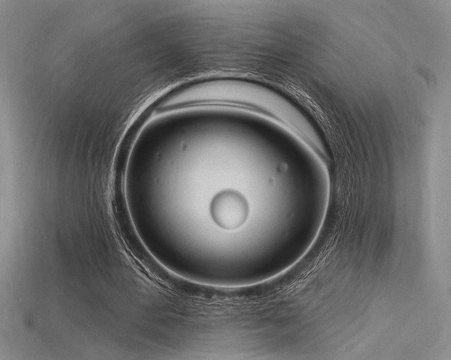 X0000115790484200911131311