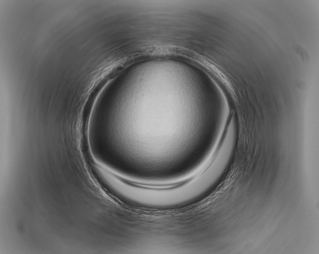 X0000115790485200911131311