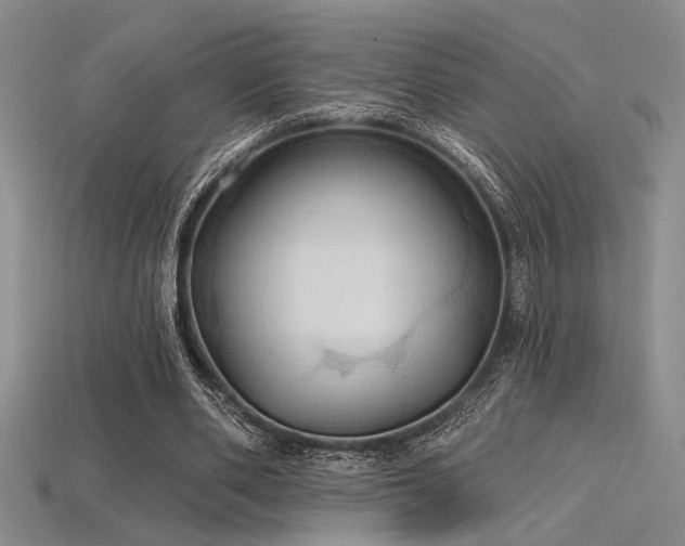 X0000115790486200911131311