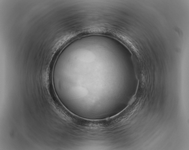 X0000115790487200911131311