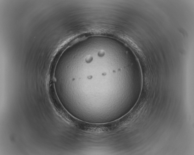 X0000115790488200911131311