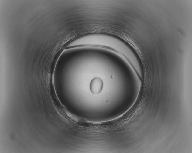 X0000115790489200911131311