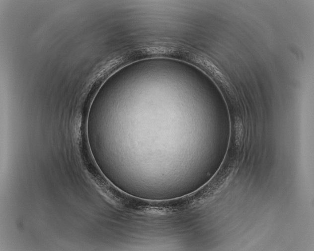 X0000115790490200911131311