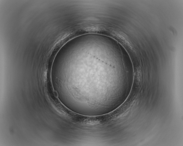 X0000115790491200911131311