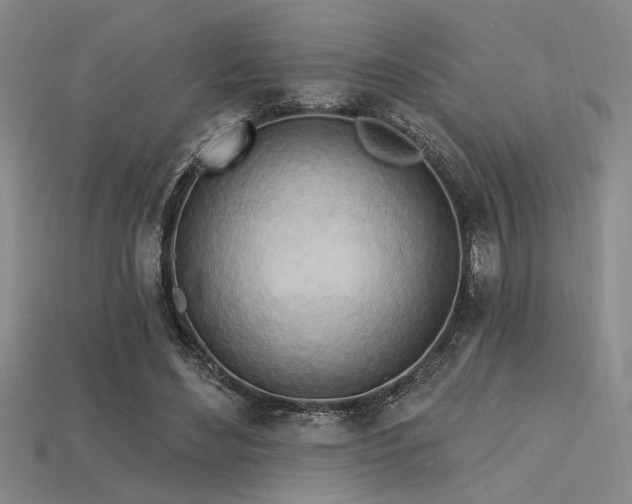 X0000115790492200911131311