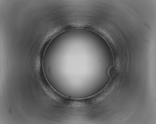 X0000115790494200911131311