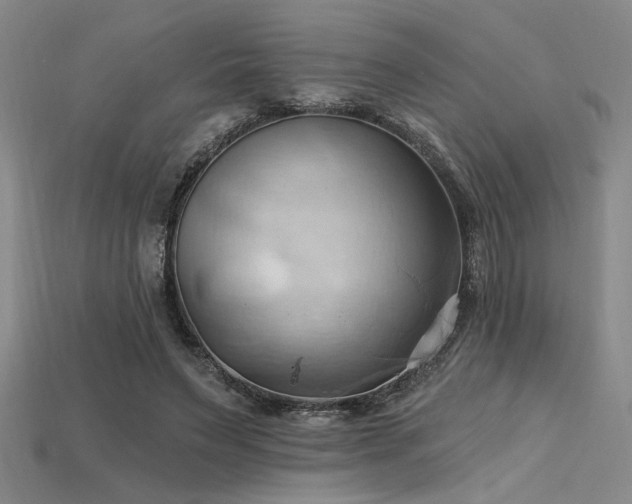 X0000115790495200911131311