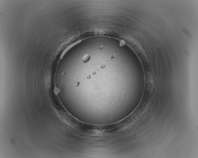 X0000115790496200911131311