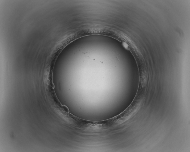 X0000115790497200911131311