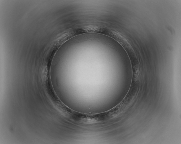 X0000115790498200911131311