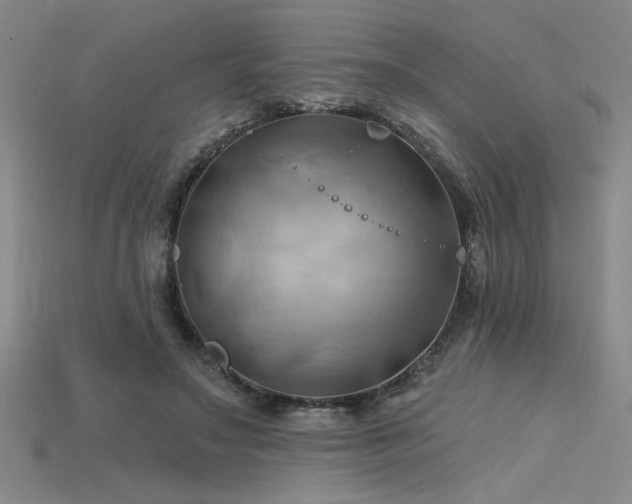 X0000115790499200911131311