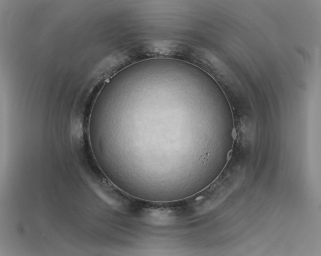 X0000115790500200911131311