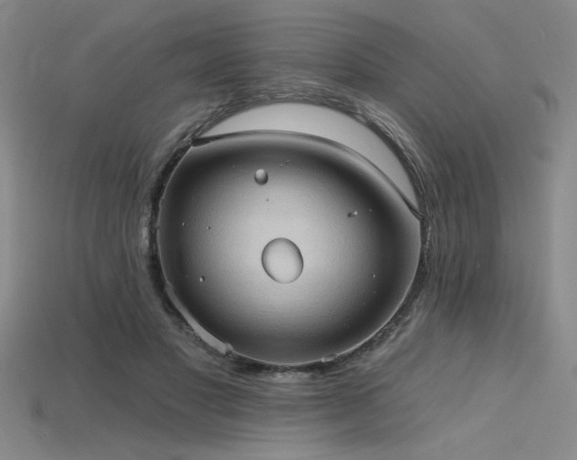 X0000115790501200911131311